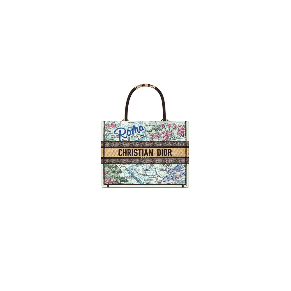 Dior Souvenir Medium Dior Book Tote