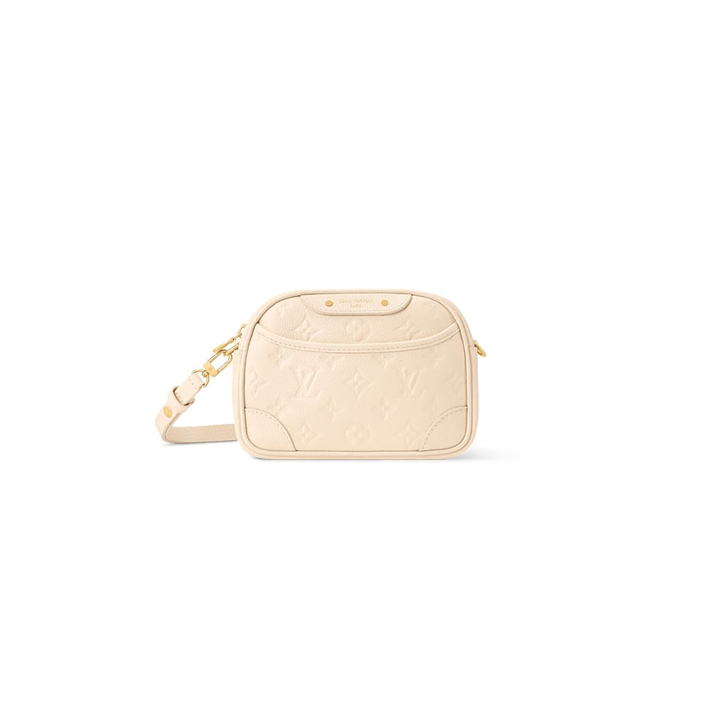LV Tiny Camera Bag