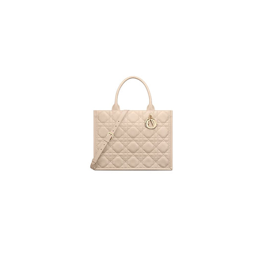 Dior Medium Dior Book Tote