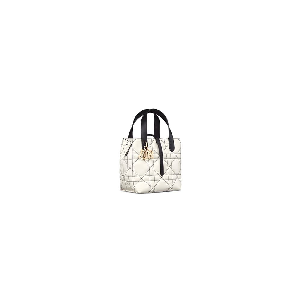 Dior Small Dior Toujours Vertical Tote Bag