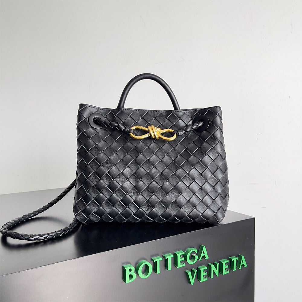 Bottega Veneta Small Andiamo