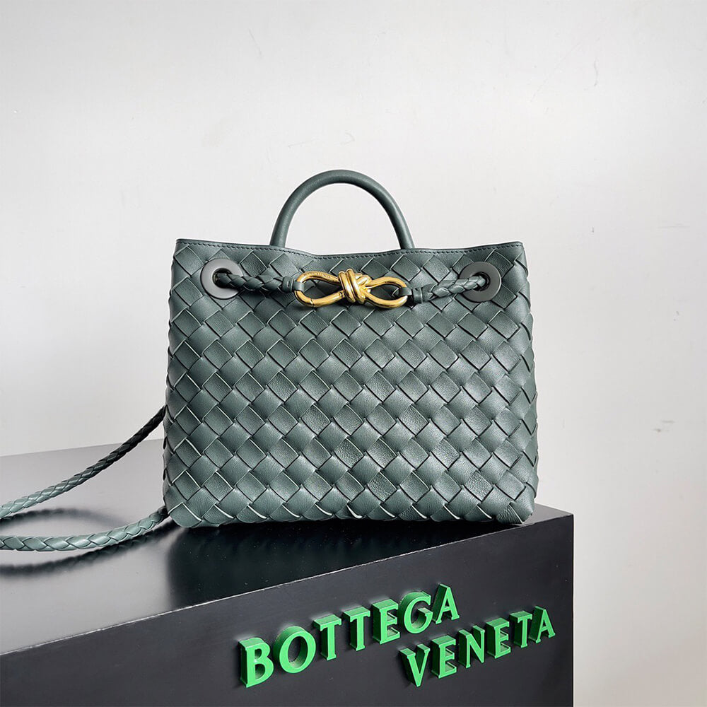 Bottega Veneta Small Andiamo