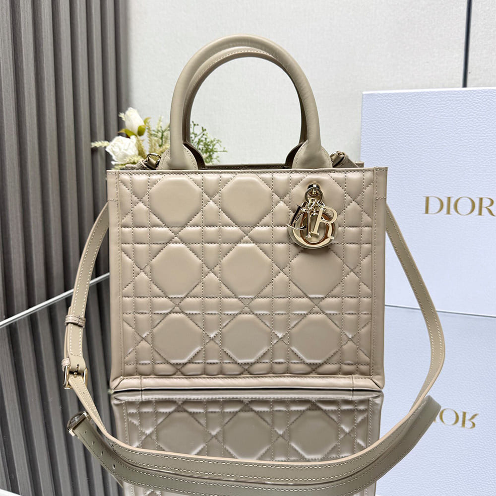 Dior Small Dior Book Tote