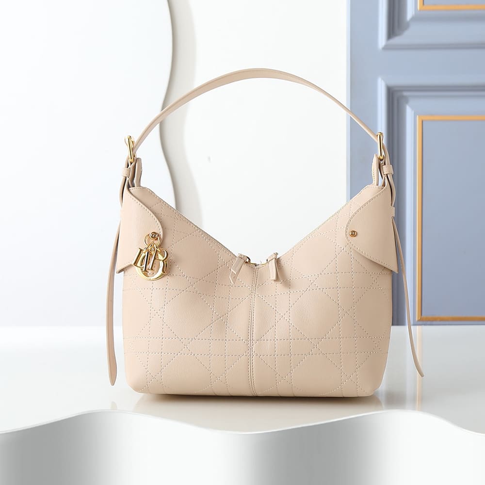 Dior Medium Dior Voyage Bag