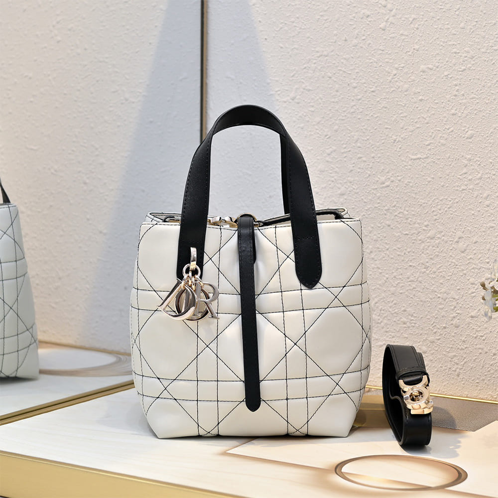 Dior Small Dior Toujours Vertical Tote Bag