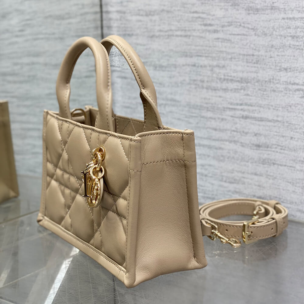 Mini Dior Book Tote