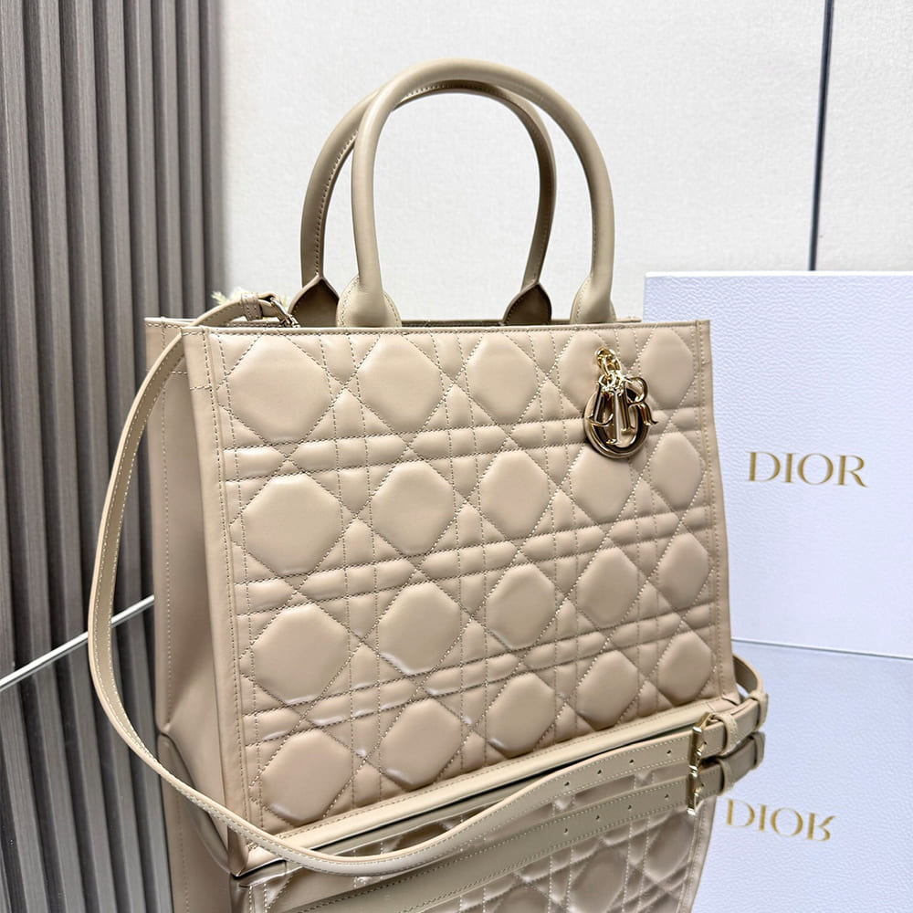 Dior Medium Dior Book Tote