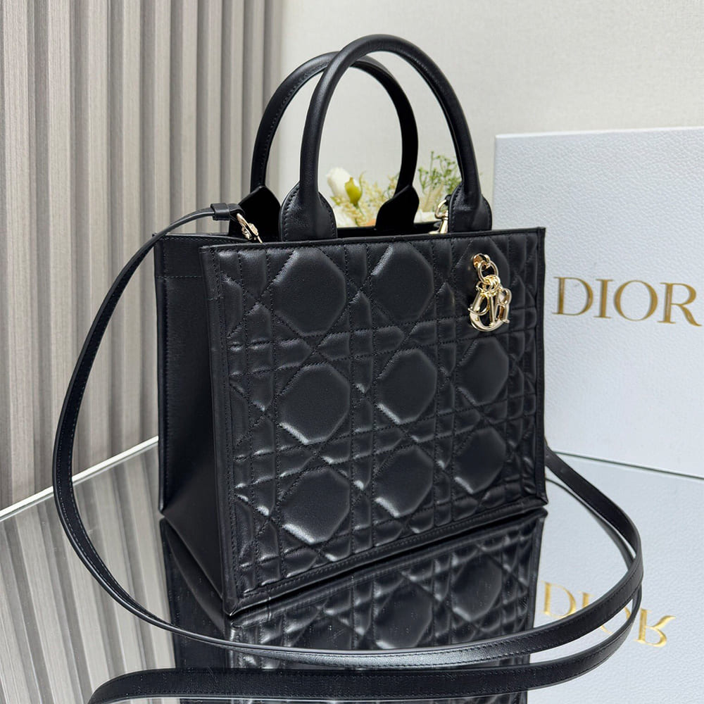 Dior Small Dior Book Tote