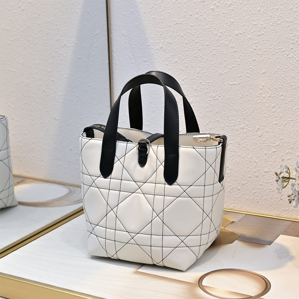 Dior Small Dior Toujours Vertical Tote Bag