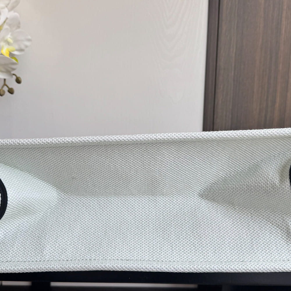 Dior Souvenir Medium Dior Book Tote