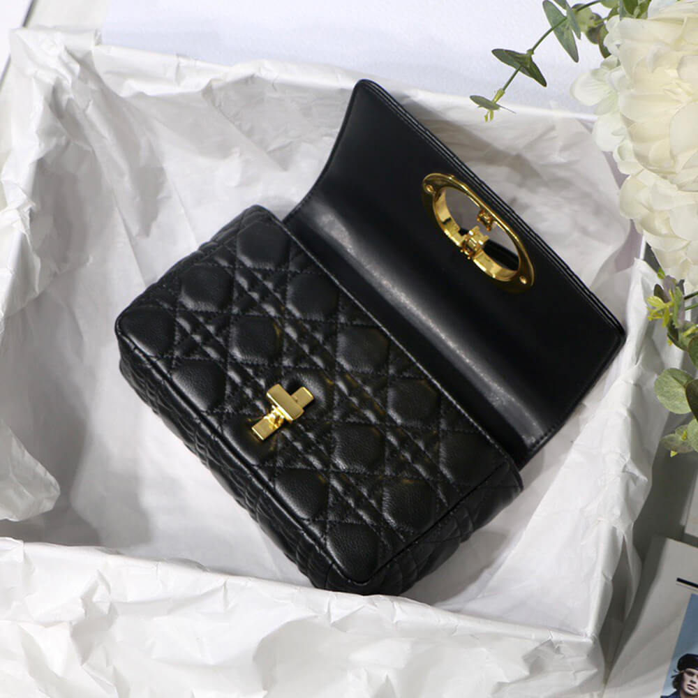 SMALL DIOR CARO BAG