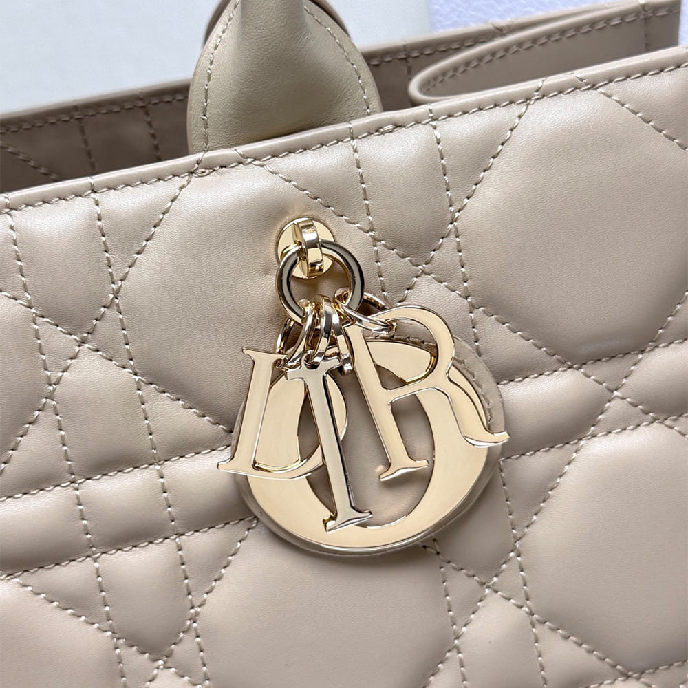 Dior Medium Dior Book Tote