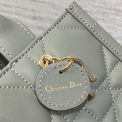 Dior Mini Dior Book Tote