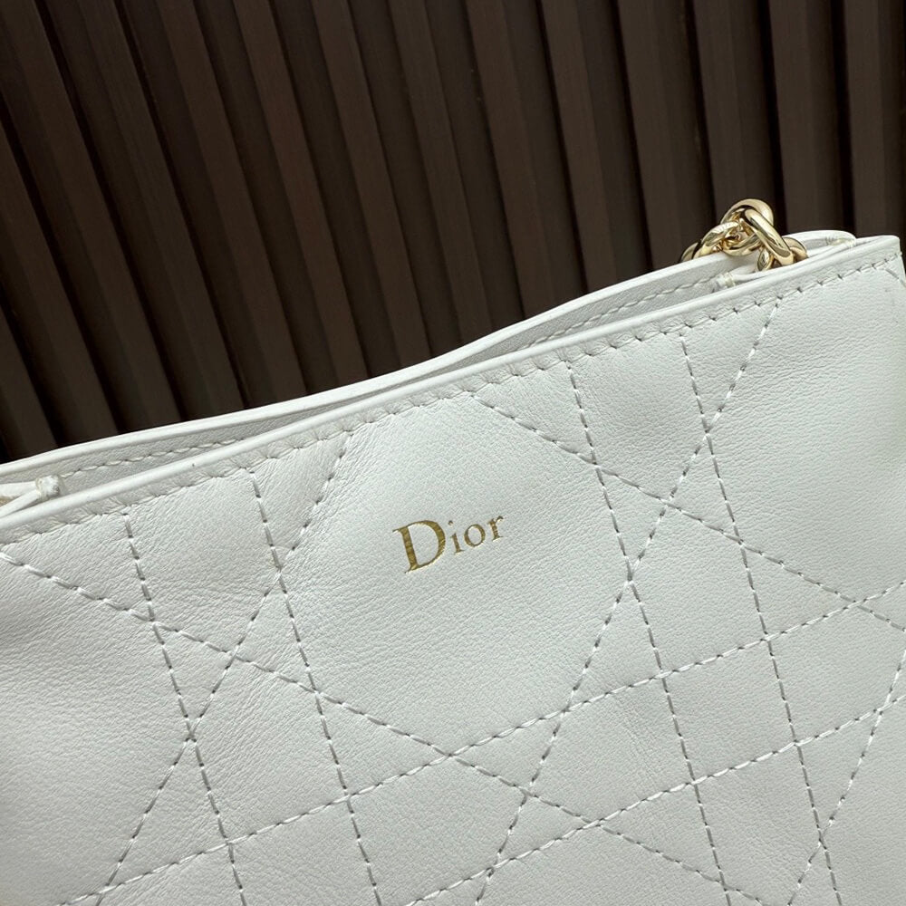 Small Dior Trianon Vertical Chain