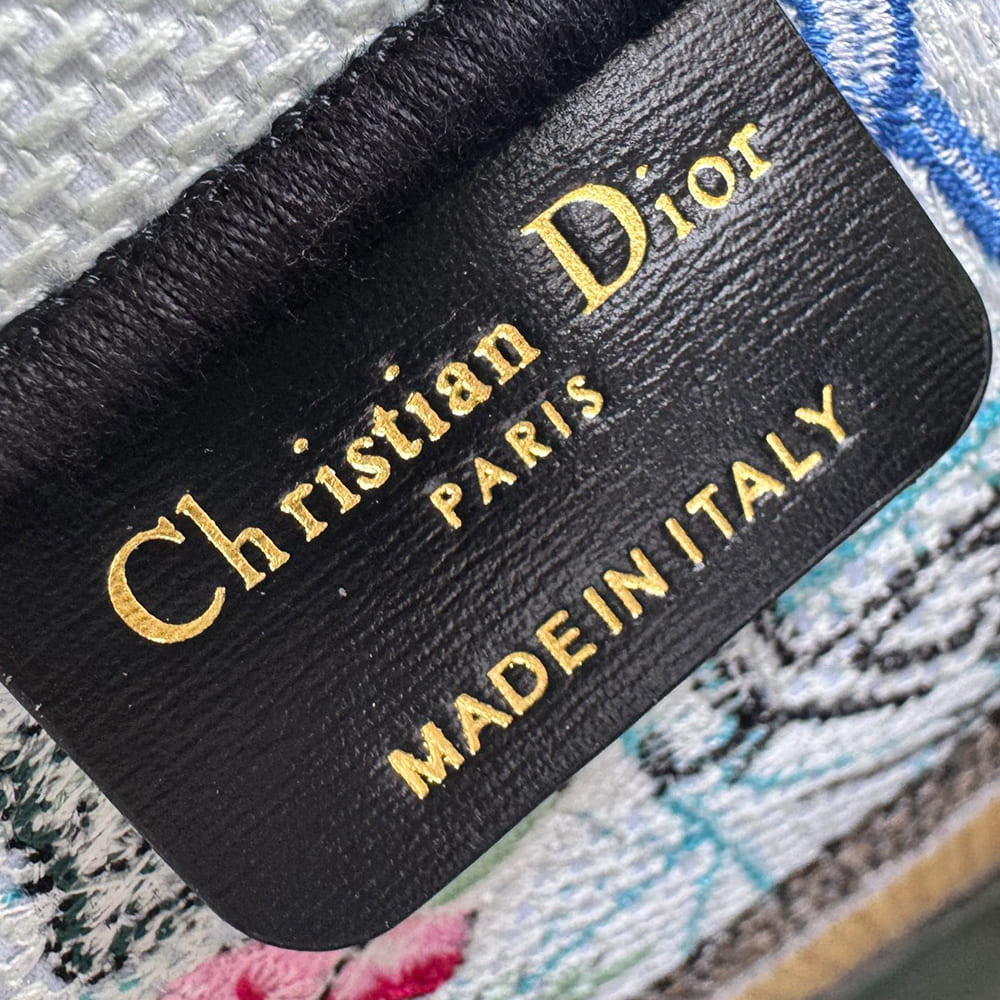 Dior Souvenir Medium Dior Book Tote