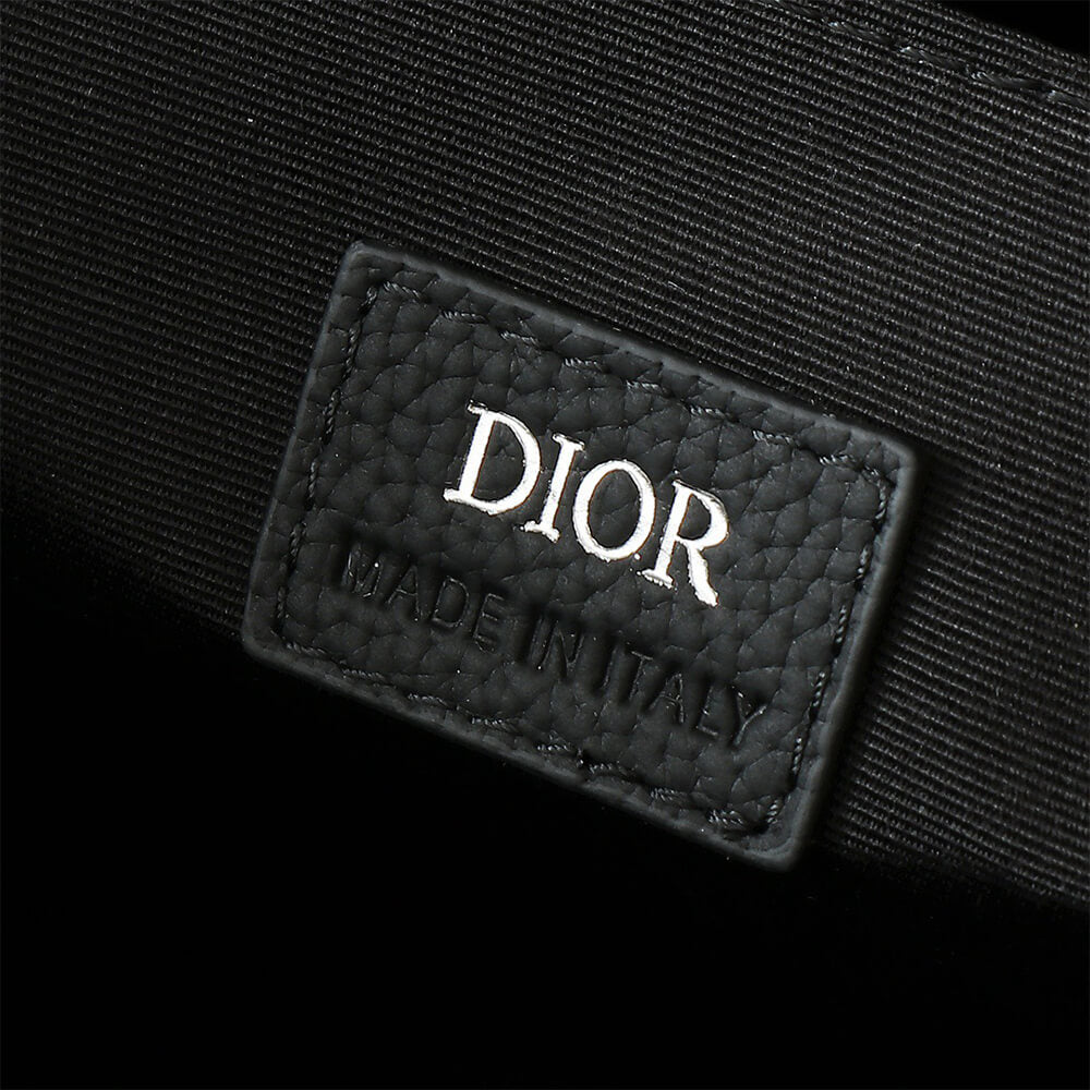 Dior Large East-West Tote Bag